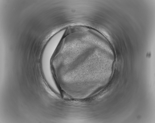 X0000089950389200707201930