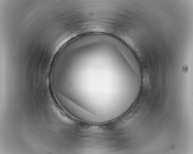 X0000089950390200707201930