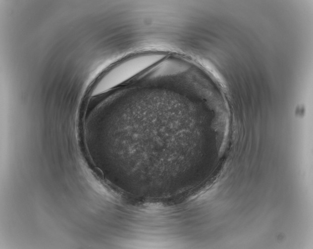 X0000089950391200707201930