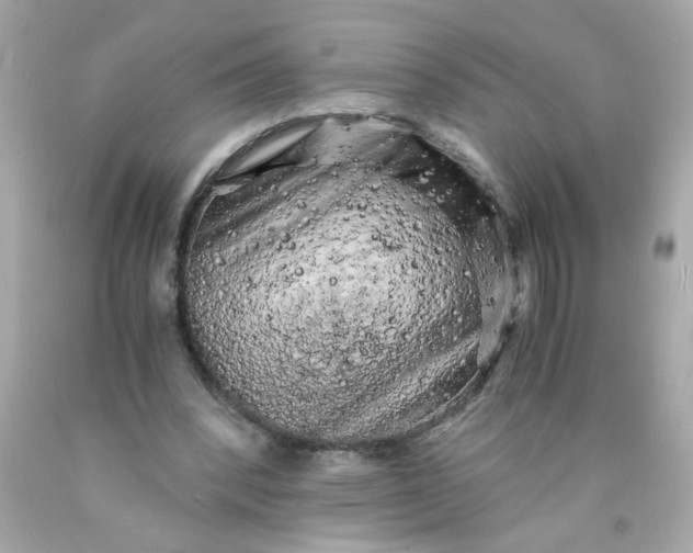 X0000089950392200707201930