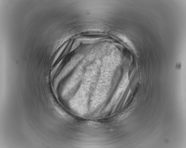 X0000089950393200707201930