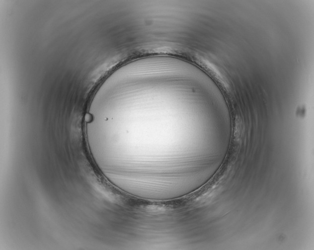 X0000089950394200707201930