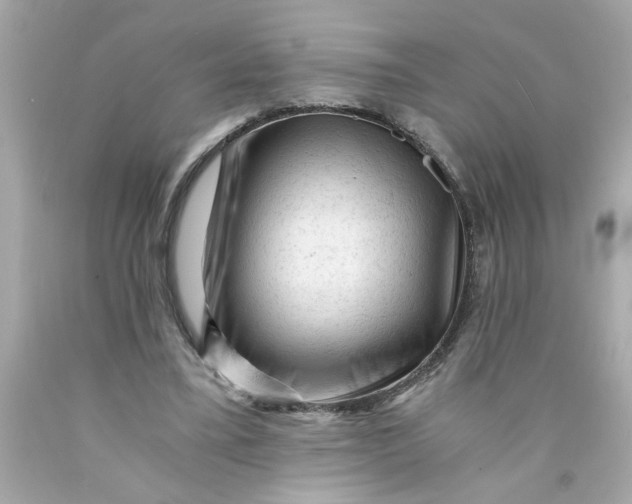 X0000089950395200707201930