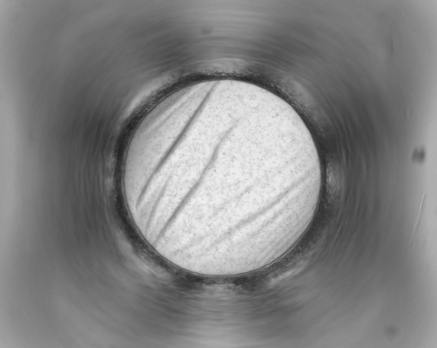 X0000089950396200707201930