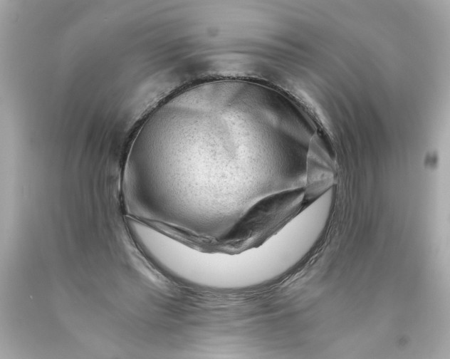 X0000089950397200707201930