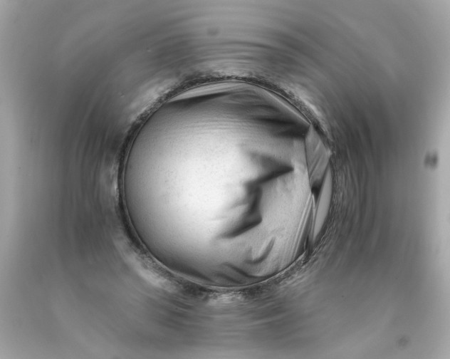 X0000089950398200707201930