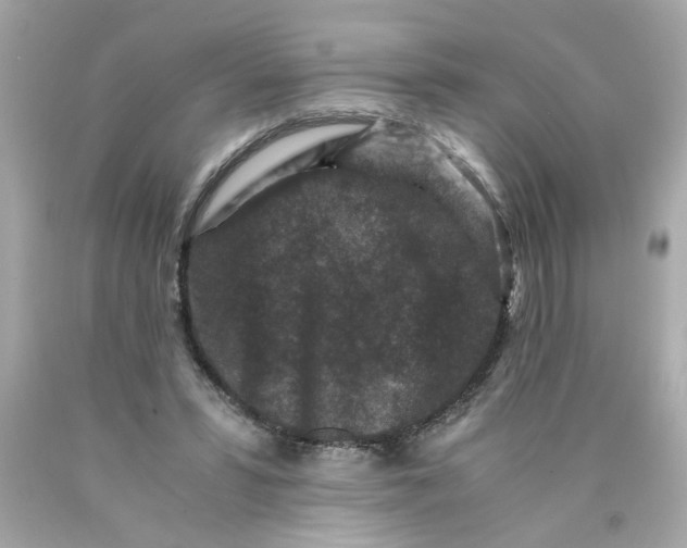 X0000089950399200707201930