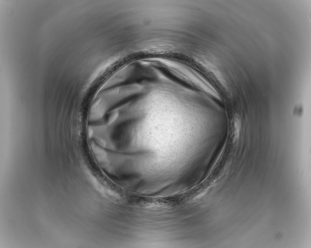 X0000089950400200707201930