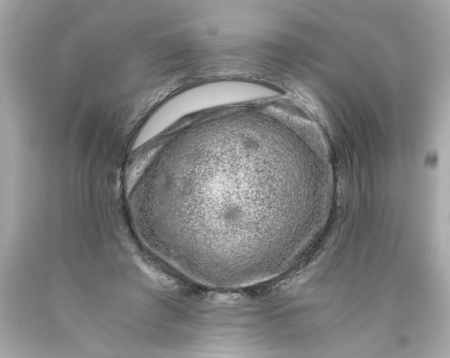 X0000089950401200707201930