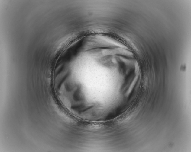 X0000089950402200707201930