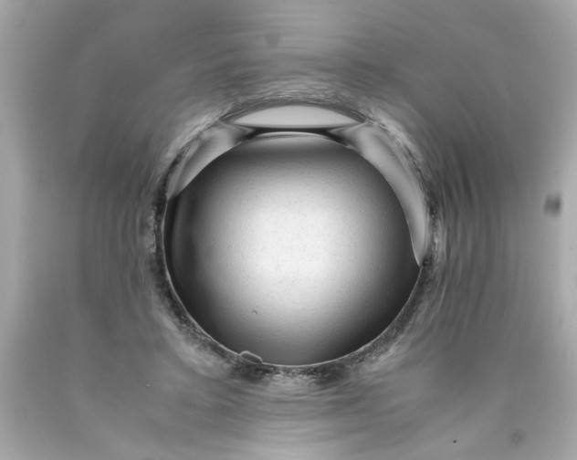 X0000089950403200707201930