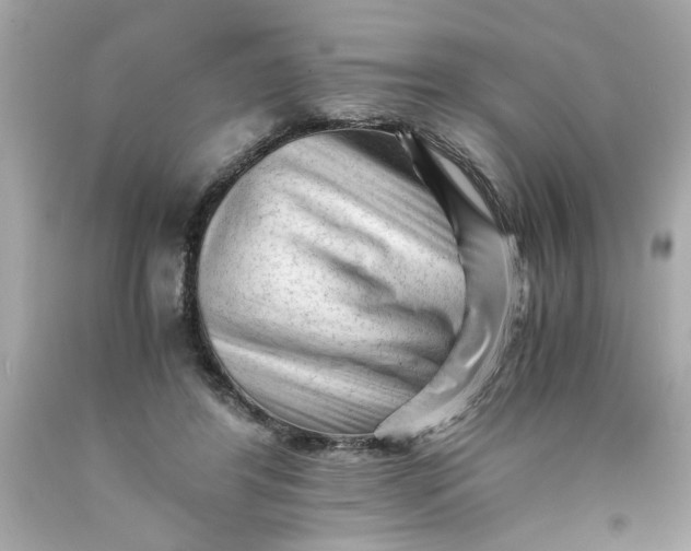 X0000089950404200707201930