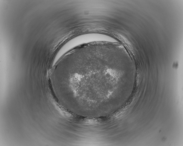 X0000089950405200707201930