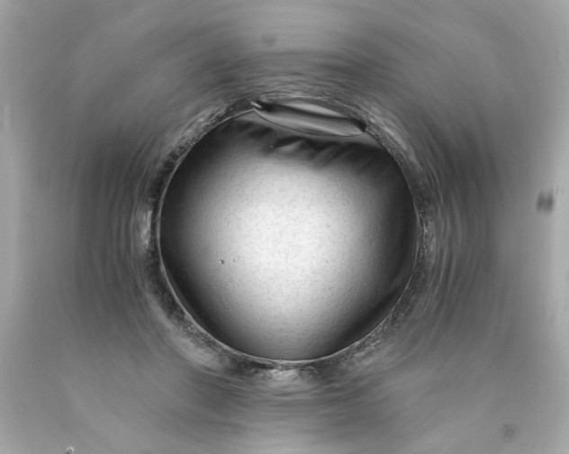 X0000089950406200707201930