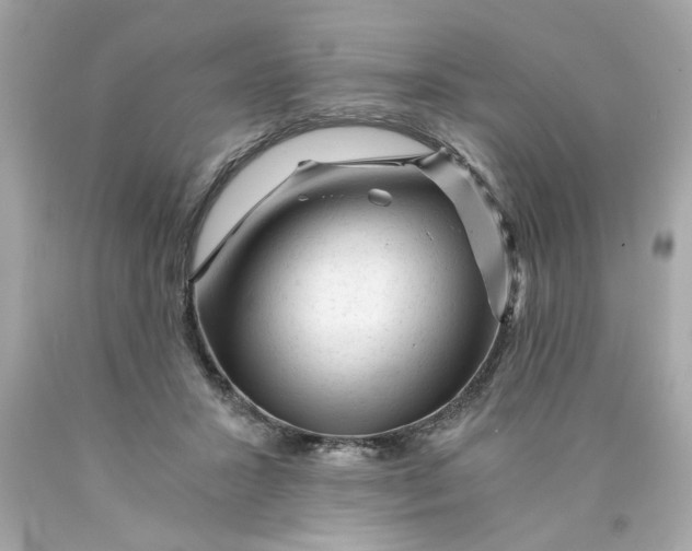 X0000089950407200707201930