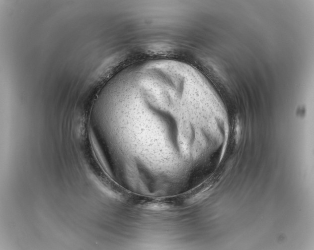 X0000089950408200707201930