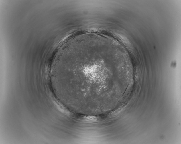 X0000089950409200707201930