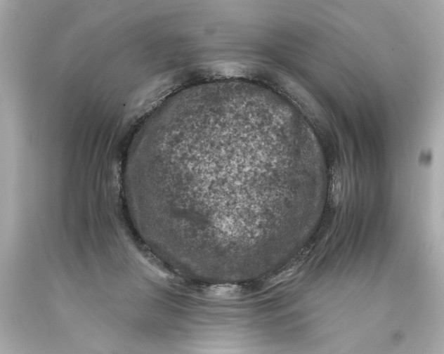 X0000089950410200707201930