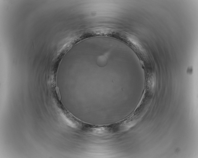 X0000089950411200707201930