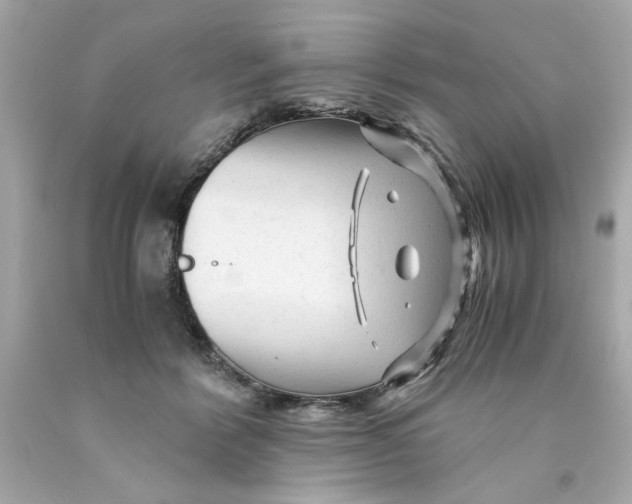 X0000089950412200707201930