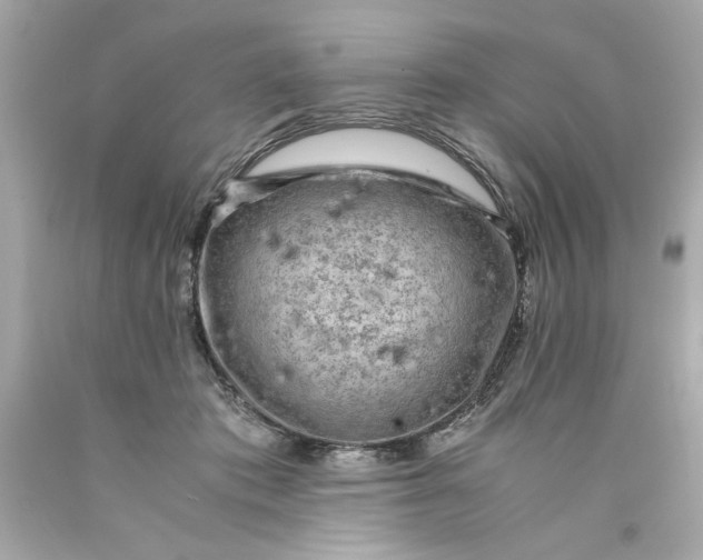 X0000089950413200707201930