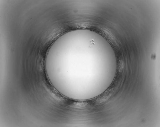 X0000089950414200707201930