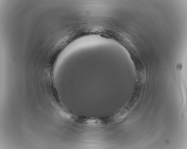 X0000089950415200707201930