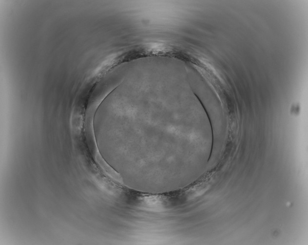 X0000089950417200707201930