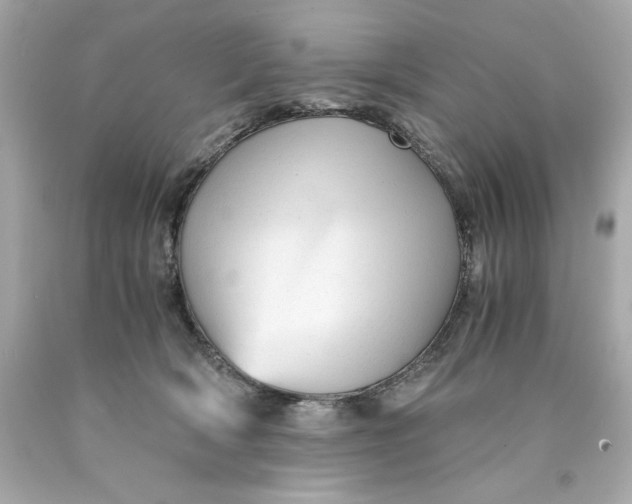 X0000089950418200707201930