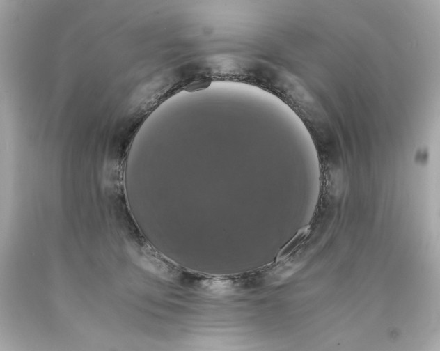 X0000089950419200707201930