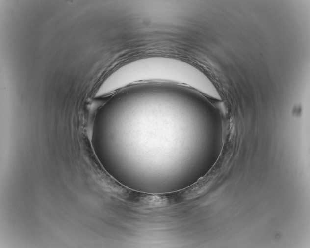 X0000089950421200707201930