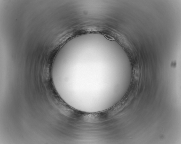 X0000089950422200707201930