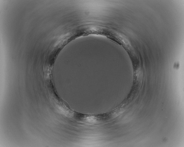 X0000089950423200707201930