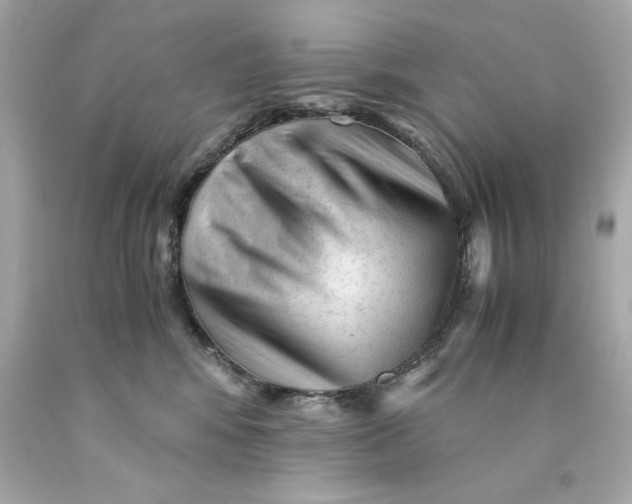 X0000089950424200707201930