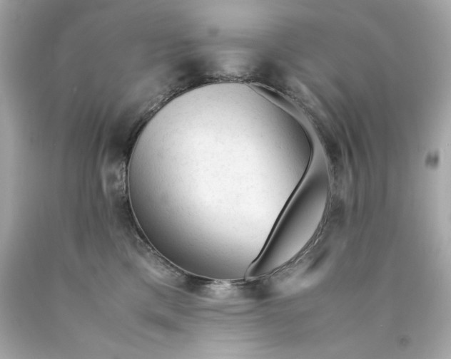 X0000089950425200707201930