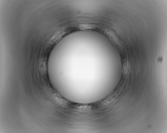 X0000089950426200707201929