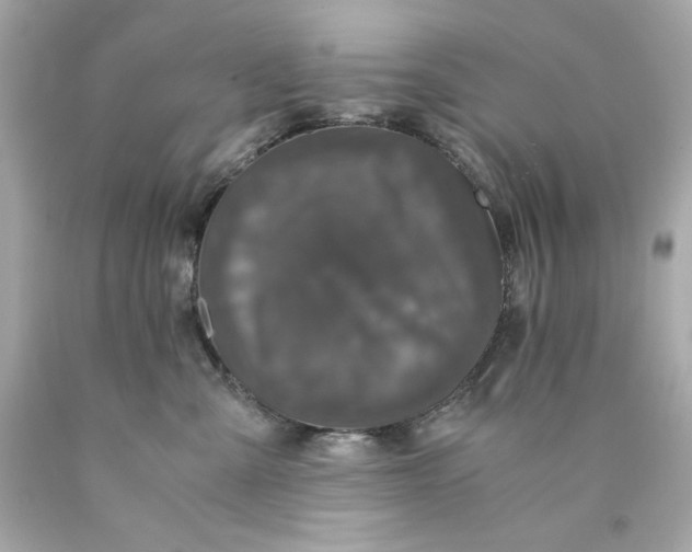 X0000089950427200707201929