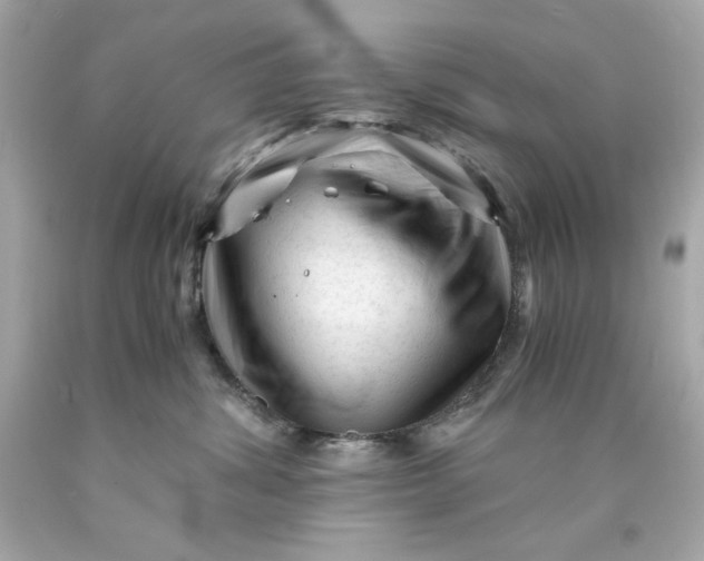 X0000089950428200707201929