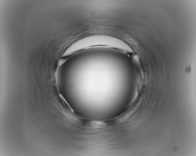 X0000089950429200707201929