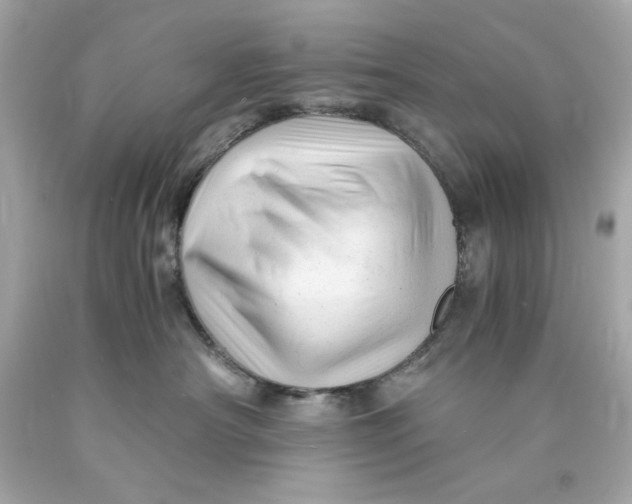 X0000089950430200707201929