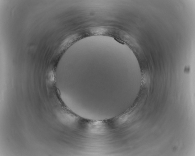 X0000089950431200707201929