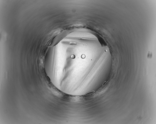 X0000089950432200707201929