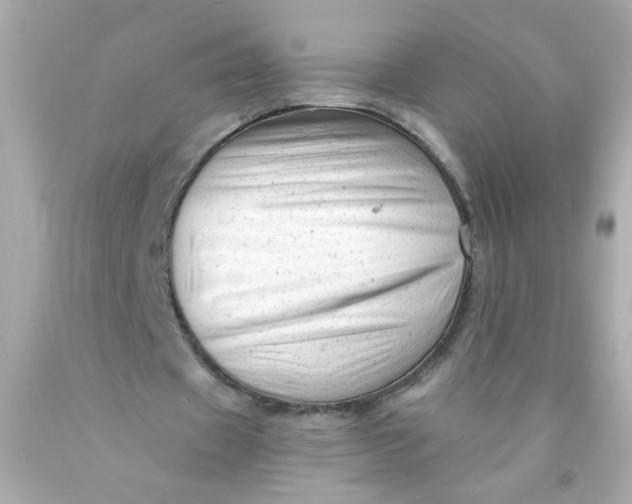 X0000089950433200707201929