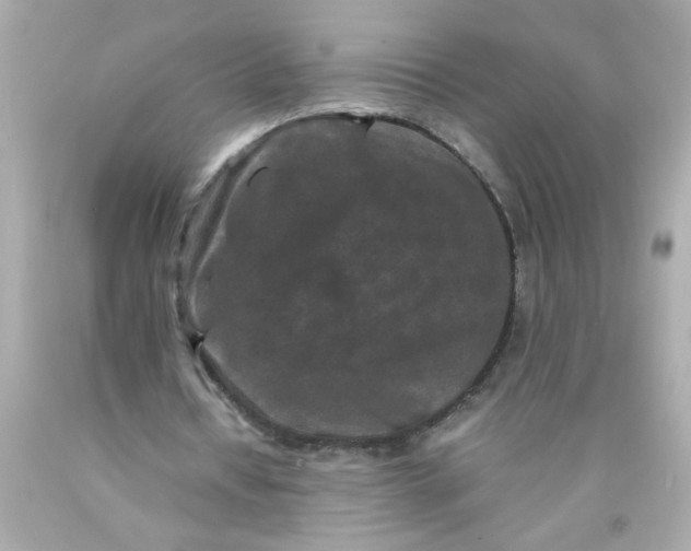 X0000089950434200707201929