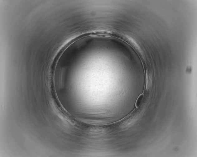 X0000089950435200707201929