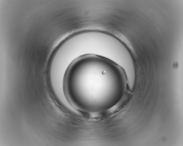 X0000089950436200707201929