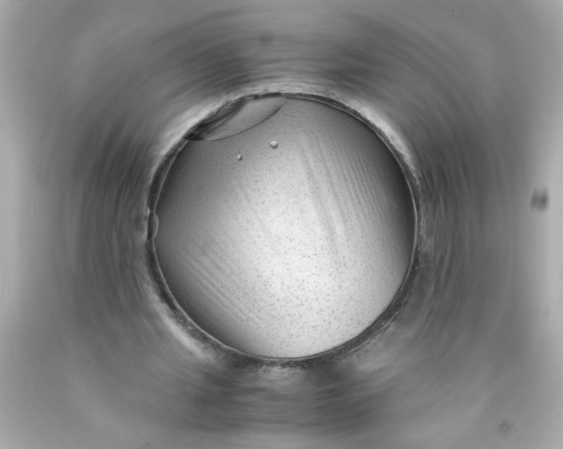 X0000089950437200707201929