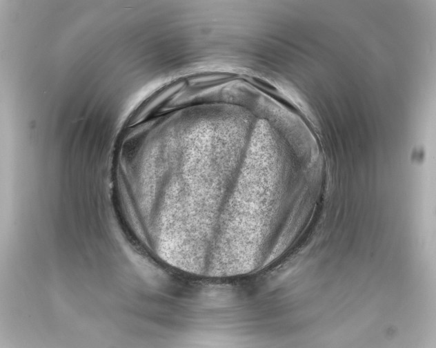 X0000089950438200707201929