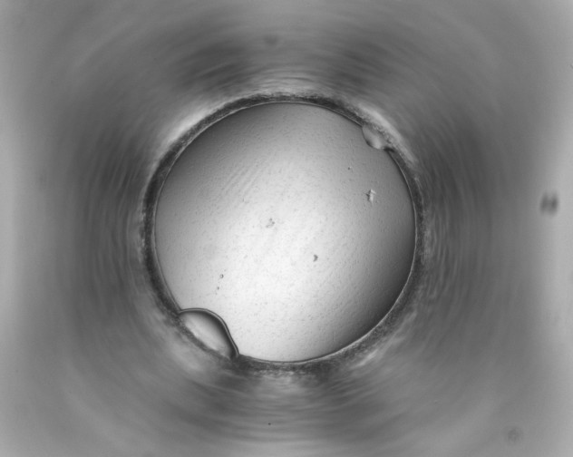 X0000089950439200707201929