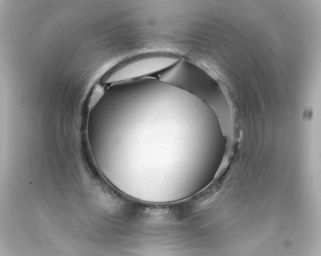 X0000089950440200707201929